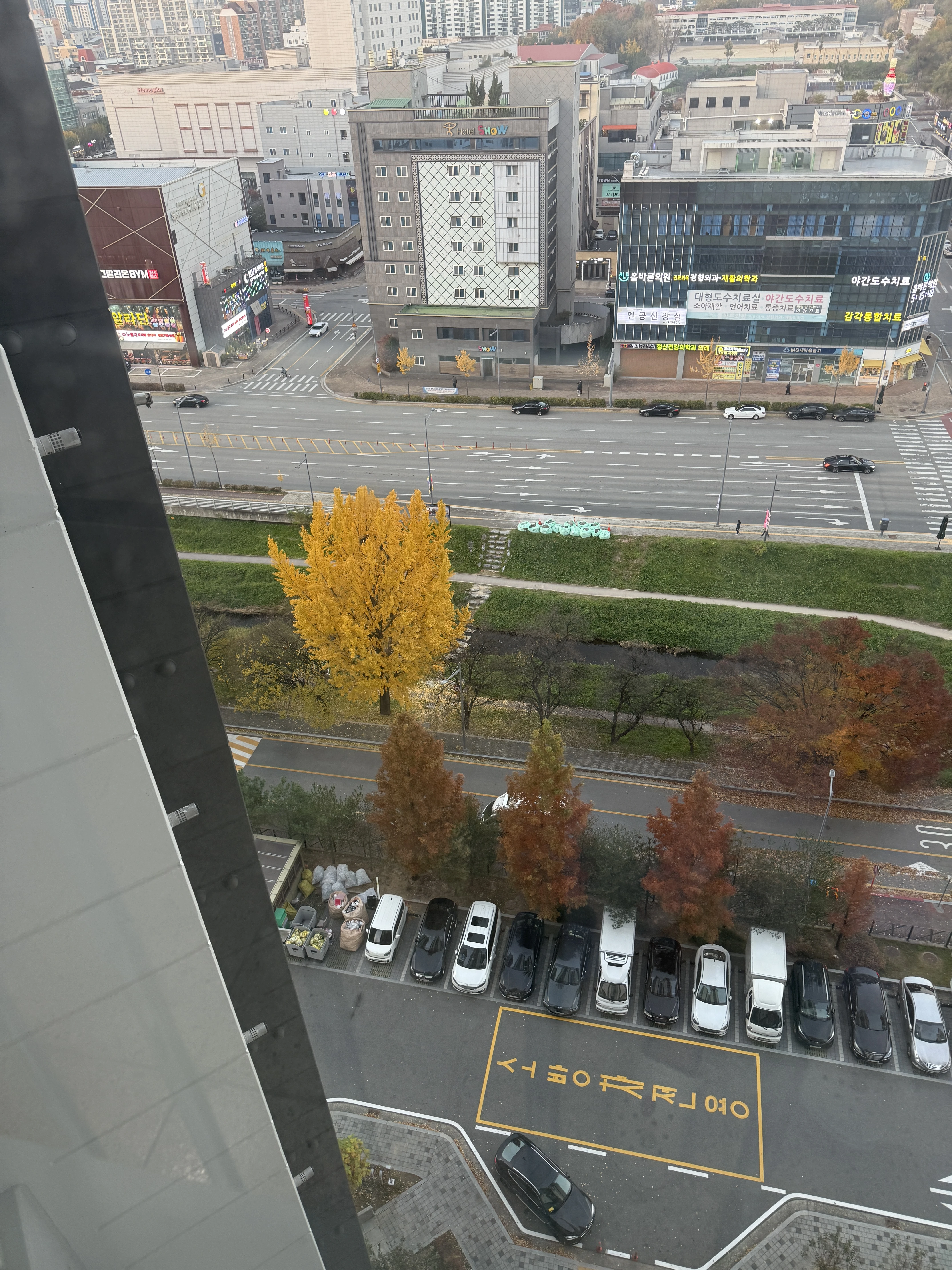 집앞단풍이 짱이야 ㅋㅋ