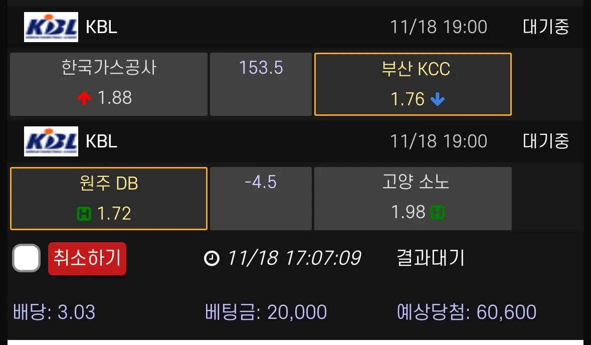 꿀벳) 농구한사바리